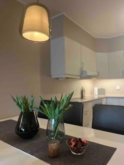 City Metro In Basement, Garage, 2018 Model Bergen Appartement